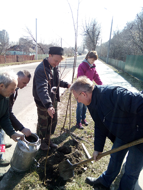 Всеукраїнська акція «Посади дерево миру»